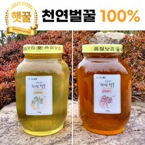 지리산 토종 100% 자연산 아카시아 잡화 국산 천연 벌꿀 2.4kg 1병, 아카시아 1병, 1개