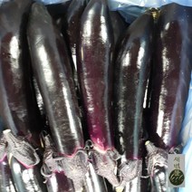 새벽들 가지(3개 5kg), 1box, 5kg