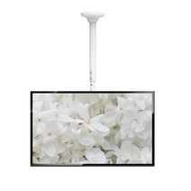 천장형 티비 중대형 모니터 브라켓 화이트 거치대 40 42 43 47 49 50 55인치 삼성 LG 엘지 TV 호환, 추가없음, TMRONS1016