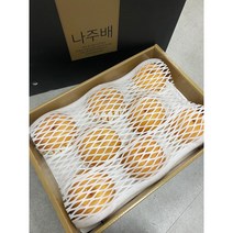 나주 햇배특상 원항 선물용배5kg/7.5kg/15kg, 1박스, 나주 햇배특품 5kg (5-7과)