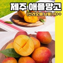 제주 애플 망고 신라호텔 납품 A++, 미니 3kg(30과 내외), 1개