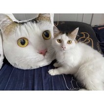 강아지 인형 주문 제작 반려견 반려묘 DIY 맞춤 쿠션, 맞춤설정 가장 긴 변 60cm 양면