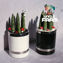 굵은무늬 스투키 고급형 블랙 화분세트 (캐릭터포함) / 공기정화식물