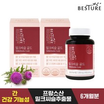 베스처 밀크씨슬 골드 6개월분, 90정, 1세트