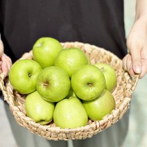 가정용흠집 썸머킹 아오리 중대과 5kg 12-16과 여름햇사과