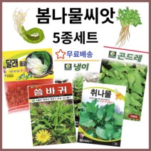 주주씨앗 봄나물 씨앗 5종 세트 / 달래 씀바귀 냉이 취나물 곤드레 종자 토종 민속 산채 채소씨앗 채소씨 종자 봄 여름 가을 겨울 월동 파종