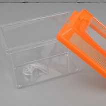 곤충채집통 달팽이집 파충류사육통 어항수족관 소형