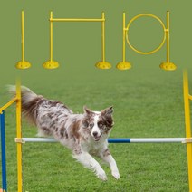 애견 반려견 PET 강아지 어질리티 실내용 훈련용품 허들 점프 스포츠 강아지어질리티훈련 운동, 02점프링