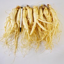 4년근 5년근 삼 인삼수삼 세척인삼 진공포장 원수삼 대 500g 750g 1kg, (무료세척)원수삼 대 8뿌리 750g, 1개