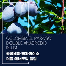 (커피생두) 228 콜롬비아 엘파라이소 더블 애너로빅 플럼 1kg
