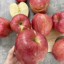 달티어 안동사과 홍로사과 부사 가정용 5kg, (정품) 홍로 중과(로얄과)17-22과 5kg
