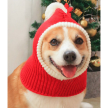 강아지 모자 고양이 산타망토 크리스마스 성탄절, 산타모자