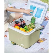 리릭테일 차량용냉장고 냉온장고 가정용 캠핑냉장고, 8L