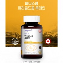 눈건강 루테인 마리골드 꽃 메리골드 루태인 루테인 눈영양제