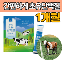 초유 단백질 분말 스틱 모유 유래 유산균 프로 프리 바이오틱스 면역 글로불린 유청 고소한 우유 맛 락토페린 아르기닌 흡수율 높은 많은 프리미엄 보충 제 품 부모님 노인 엄마 아빠