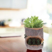 인테리어화분 화분 다육이 정원수제 플랜터 분재 야외 돌나물 나무 상자 귀여운 동물 장식 미니 다육 식물 침대 발, [02] 1