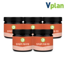 브이플랜 발효율피 추출 분말 가루 차 5통 1.2kg 국산 밤속껍질, 5개, 240g