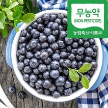 백운팜 베리모음전(냉동) 산딸기 오디 블루베리 등 씻을필요 없는 편리한 생과 에어세척3차선별, 1개, 블루베리(냉동) 1kg 특대(16~18mm)