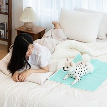 루플리 에코패드 빨아쓰는 배변패드 친환경 강아지 M 1장, 색상:민트