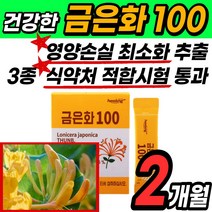 식 약 처인증 적합검사 금은화 100 고농축 고품질 스틱 분말 가루 파우더 차 그믄화 인동 덩굴 꽃봉오리 인동초 추출 물 위 위장 에좋은 건강 식품 tea 마시는 간편한 티백, 2개월(30개*2)