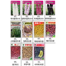 옥수수씨앗/ 콩씨앗/ 흰찰옥수수 알록찰옥수수 자색찰옥수수 흑찰옥수수 완두콩 얼룩강낭콩 빨간강낭콩 백태 팥 호랑이콩 서리태 메주콩, 2.알록이찰옥수수
