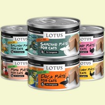로투스 캔 그레인프리 파테 고양이 주식캔 78g 24개, 치킨 파테 70g 24개