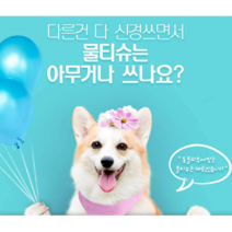 소중한 내 가족을 위한 반려동물 전용 물티슈 1box, 24개, 80매