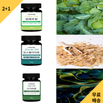2+1 보스웰리아 양배추환 다시마환 가루 숙취해소제 알약 효능, 양배추환 2+1(3통)
