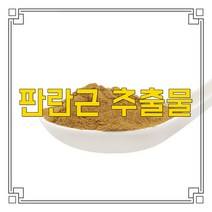 소율국제 판란근 숭람 마람 고농축 추출물 분말, 30:1, 200g, 1개