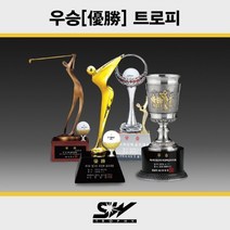 [기타] 골프트로피 메달리스트 우승 시상식대회트로피_SWT-225, 옵션:[선택] 이외 주문제작