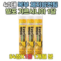 40대 50대 복부지방 체지방컷팅 발포가르시니아 1달 운동안하고 물에타먹는 다이어트 가르시니아 먹는법 단시간 보조제 추천 효과좋은 발포 물 워터 나이아신 펜토탄산 함유 가르시아나