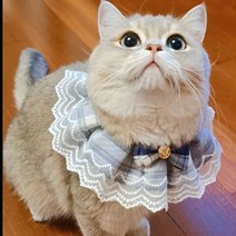 강아지 고양이 레이스 스카프 케이프 턱받이 목도리 반다나, M, 옐로우 카키