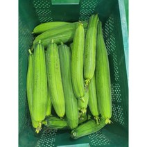 식용생수세미 국내재배 베트남 수세미 동남아시아야채 수세미, 1kg, 1개