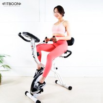 핏분 가정용 실내 자전거 FB-CY1000 싸이클 좌식 바이크 다이어트 운동 실내 헬스장, FB-CY1000(블랙)