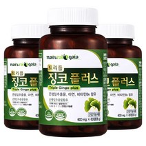 타이거아울렛 징코 플러스 60정 x 3병 6개월분 은행잎 추출물 빌로바 아연 비타민B6 뇌 기억력 혈행개선 도움 혈액순환 개선제 수험생 청소년 영양제, 3개