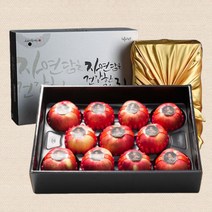 [설 이후 발송]선물용 사과 5kg 과일세트_품질보장, 01_선물용 사과 특대과 5kg[10-12과]