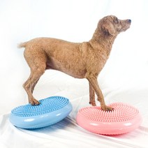 알디펫 강아지 짐볼 밸런스 운동기구 슬개골탈구예방 닥터 펫트니스볼, 블루