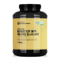 에너자임 몬스터WPI 1000g 분리유청단백질보충제 헬스프로틴 초코맛, 초코1000g