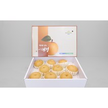 나주배원예농협 신고(특) 15kg, 1박스, 15kg(21-25과)