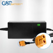 GSP 리튬인산철 24V 배터리 충전기 29.2V 5A 지에스피, 29.2V 5A 충전기＋XT90 (링단자케이블)