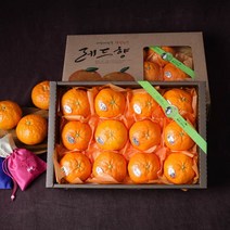 (롯데백화점)제주 서귀포 레드향 선물세트 1.7kg (실중량/12과내외)