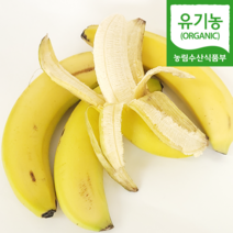[자연마을] 유기농 인증 다이어트 과일 바나나 3kg 4kg 5kg 내외 (500g팩), 유기농 바나나 3kg (500g 6팩)