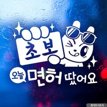 자동차스티커 초보 오늘면허땄어요 화이트시트지 초보운전 차량용스티커 차량용스티커주문제작 차량스티커 자