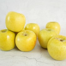 더조은푸드 황금사과 시나노골드 가정용 5kg 16-18과