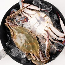 살 가득한 서천 자연산 가을 숫꽃게 1kg(4-6마리), 1개