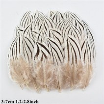 도매 천연 공작 꿩 깃털 작은 닭 거위 플라이 묶는 재료 수공예 액세서리 장식, 50 Piece, Size 3-7CM_13