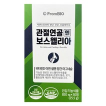 프롬바이오 관절 연골엔 보스웰리아, 보스웰리아 4박스 (2개월분), 1개