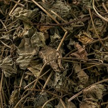 봉래 국산 금전초(긴병꽃풀) 600g/병꽃풀/병풀/한방차/건강차 식품 > 건강식품 전통건강식품 기타전통건강식품/한방재료, 600g, 1, 600g” class=”wr-img”></a></div></p></div></p></div></p></div><div class=