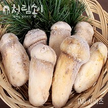 (청림송이 능이) 햇 자연산 냉동송이버섯 (특품), 1개, 냉동송이/3S/1kg(40~45개)