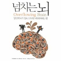 넘치는 뇌 당신의 뇌가 정보 스트레스에 대처하는법, 상품명